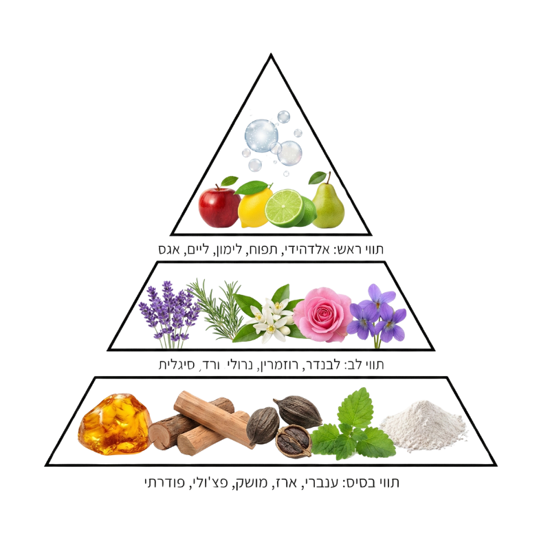 מבשם כביסה בריח WHITE COTTON