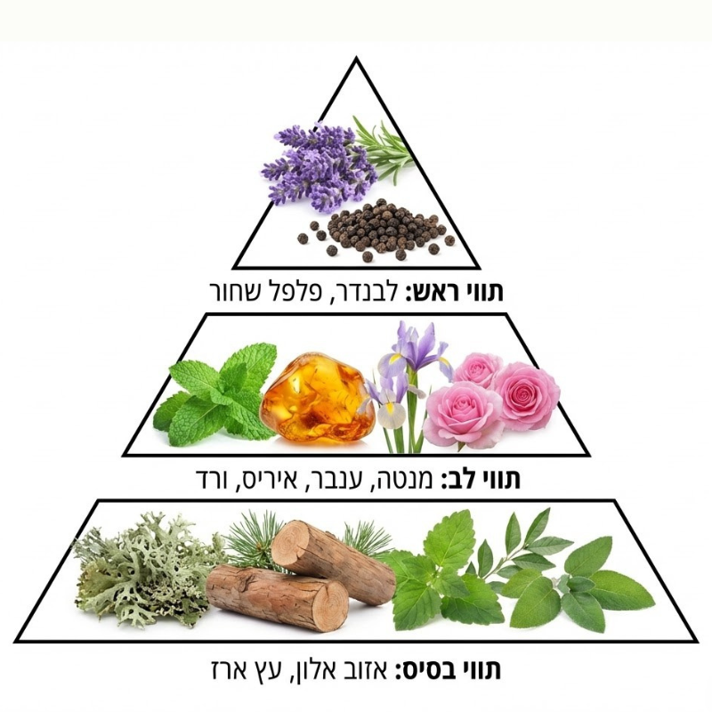 חומר לניקוי רצפות מרוכז בריח פרש FRESH
