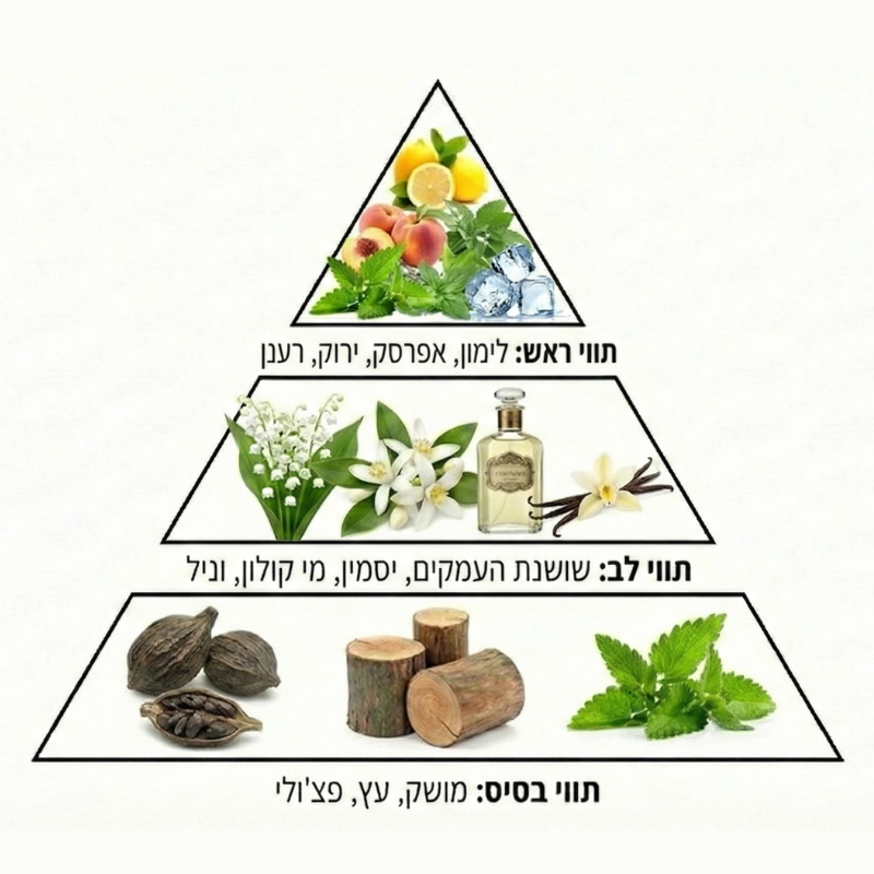 נוזל לשואב שוטף ללא קצף בריח בית מלון 10 ליטר
