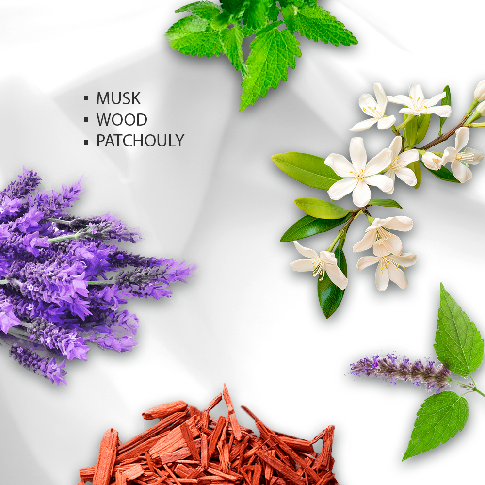 ריח של בית מלון