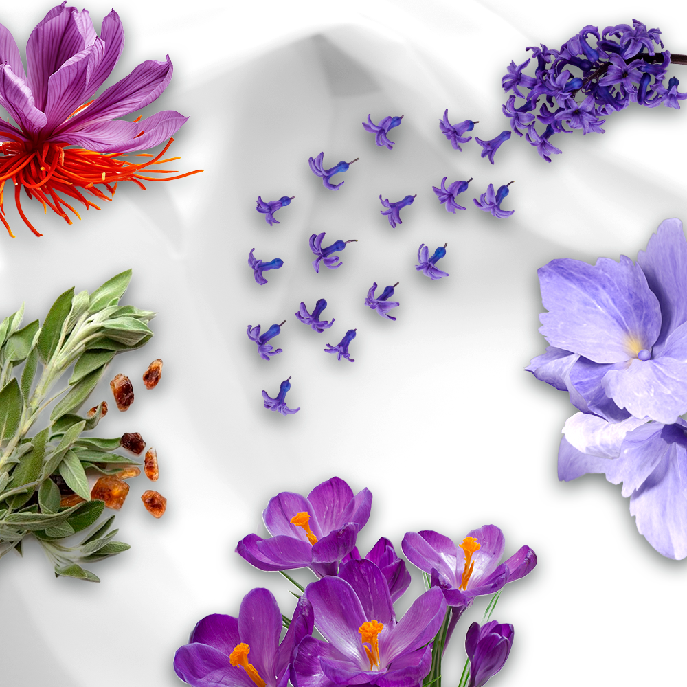 מרכך כביסה בוסטר בריח לבנדר בלום