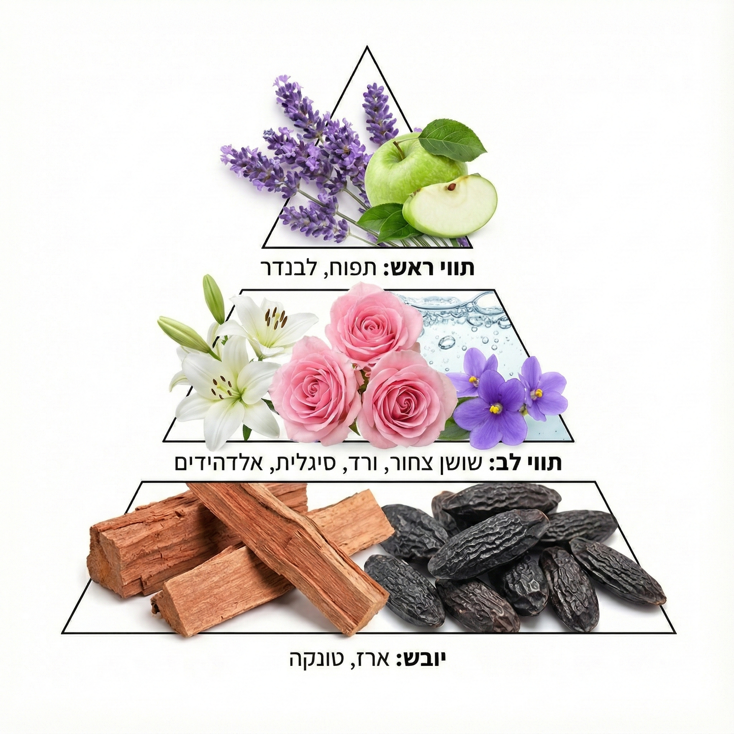 בושם מרוכז לכביסה בניחוח VIOLET