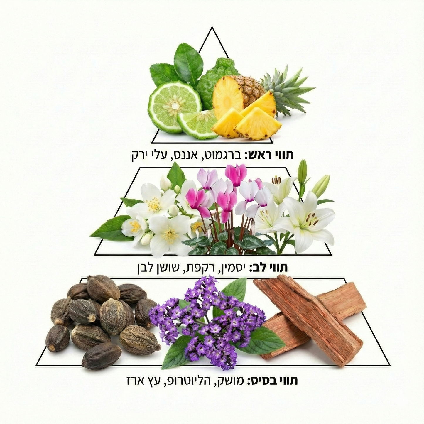 AMARA מרכך כביסה בוסטר