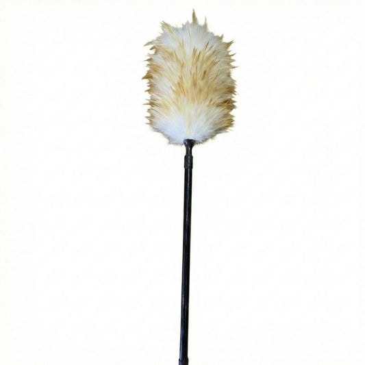 מברשת אבק מצמר עם ידית טלסקופית מתכווננת