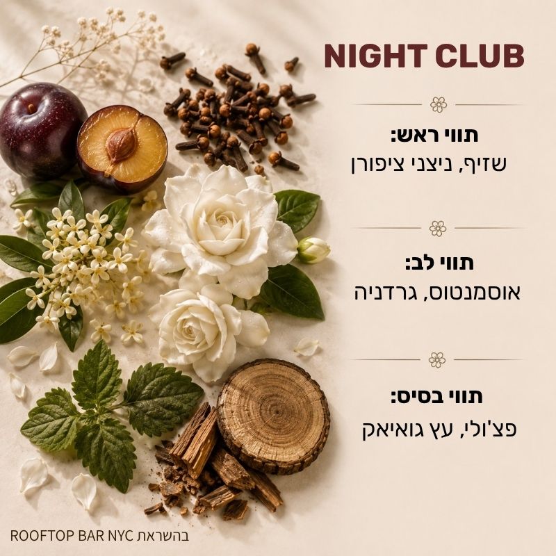 מילוי למפיץ ריח על בסיס שמן בריח NIGHT CLUB