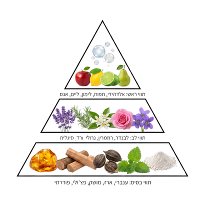 מבשם כביסה בריח WHITE COTTON