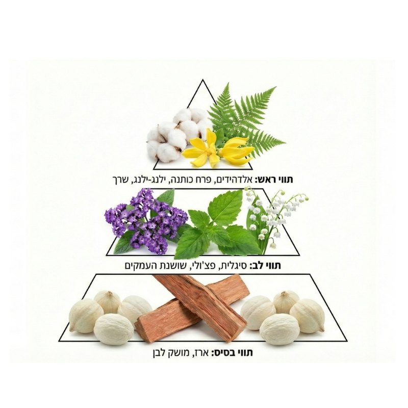 חומר לניקוי רצפות מרוכז בריח HORIZON