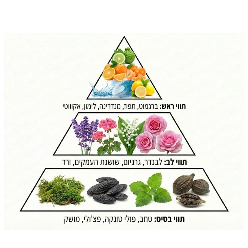 שמן מפיץ ריח בריח בוטיק BOUTIQUE