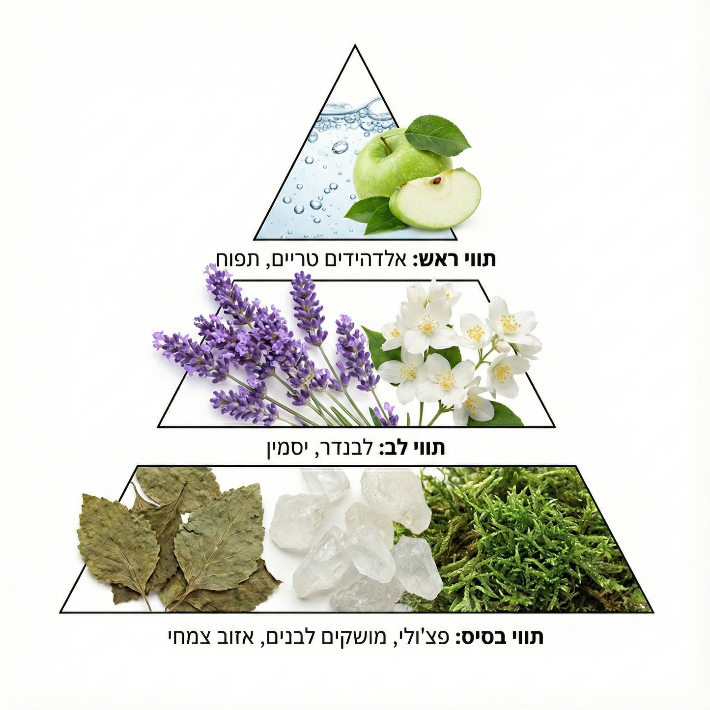 נוזל רצפה ללא קצף לשואב שוטף בריח CLEAN BRIGHT