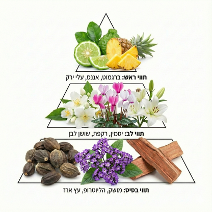 AMARA מרכך כביסה בוסטר