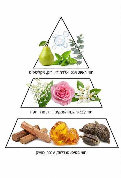 בושם מרוכז לכביסה בניחוח ROYAL SILK